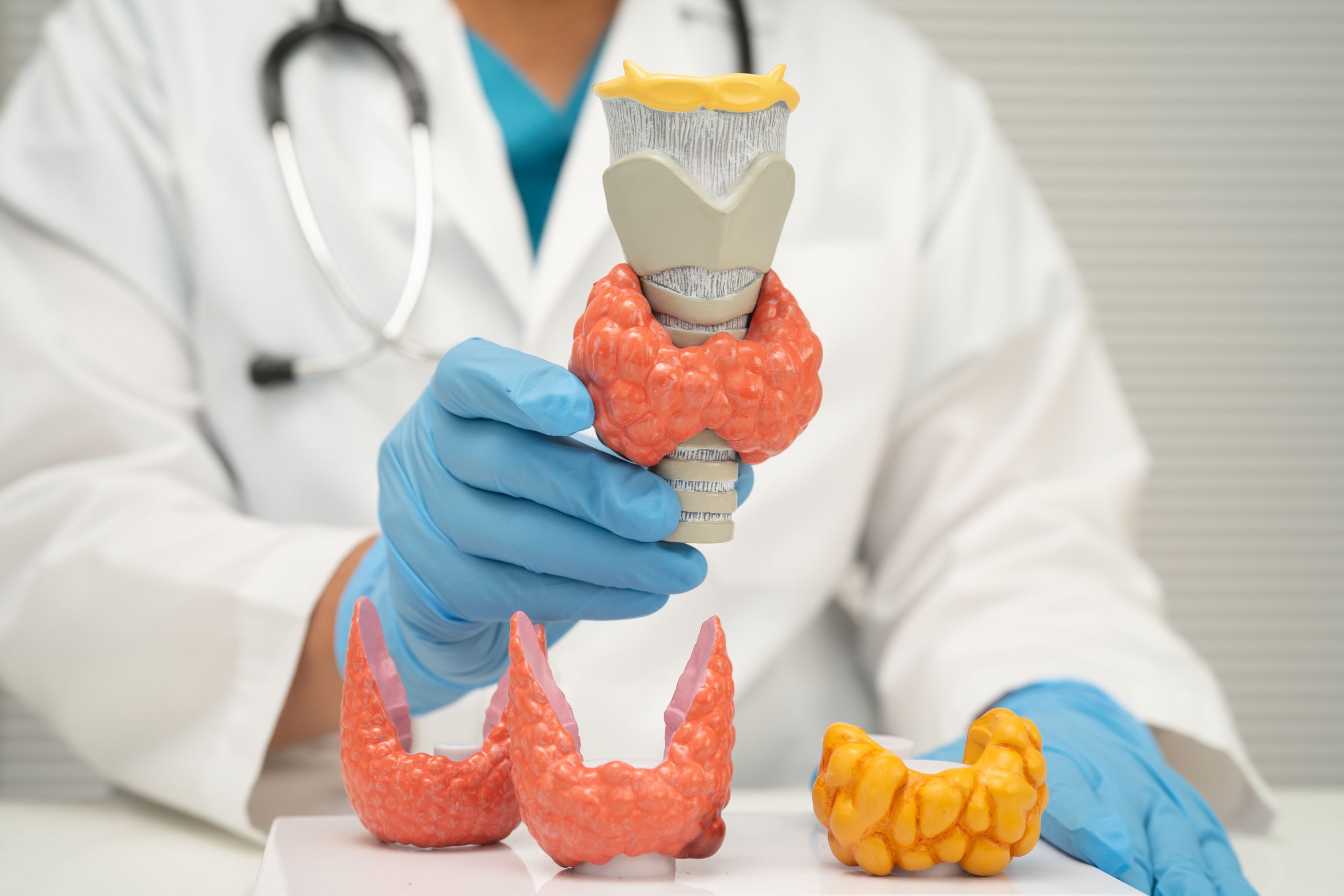 Wpływ hormonów tarczycy na wagę